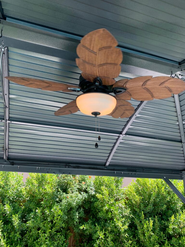 whatsapp image 2026 02 03 at 11.01.15 pm